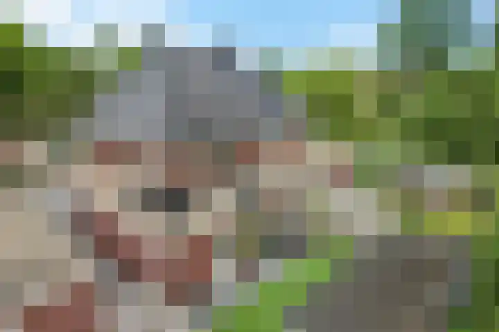 Prof dr Cleveringastraat 50 Heerenveen thumbnail 5