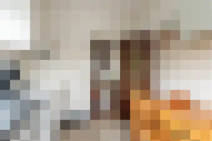 Prof. dr. F. Zernikeweg 23 De Bilt thumbnail 13