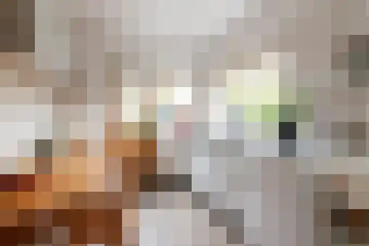 Prof. dr. F. Zernikeweg 23 De Bilt thumbnail 14