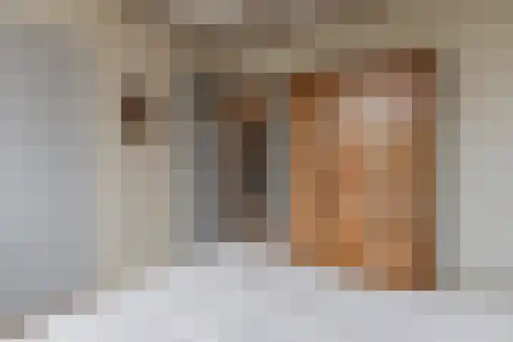 Prof. dr. F. Zernikeweg 23 De Bilt thumbnail 18
