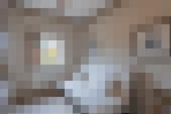 Prof. dr. F. Zernikeweg 23 De Bilt thumbnail 19