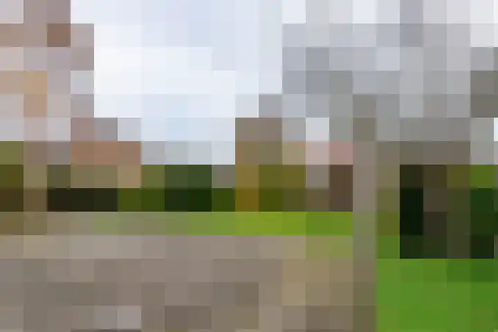 Prof. dr. F. Zernikeweg 23 De Bilt thumbnail 26