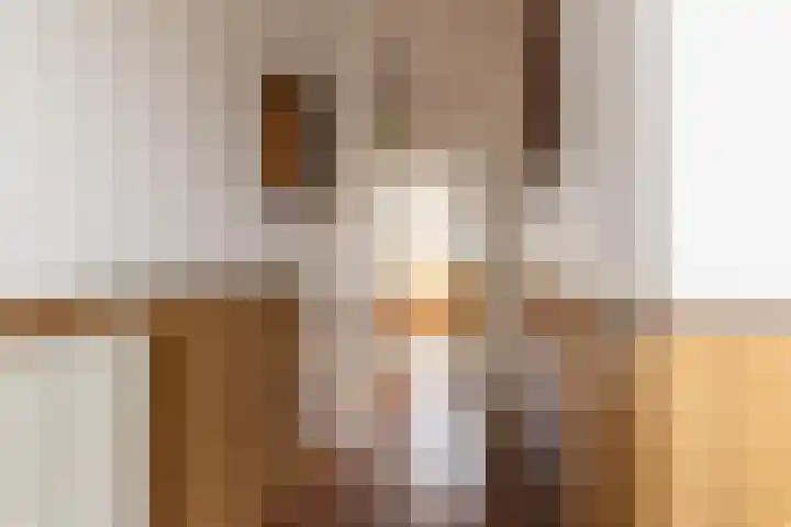 Prof. dr. F. Zernikeweg 23 De Bilt thumbnail 7