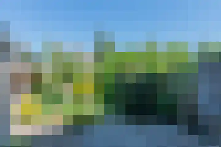 Prof. dr. F. Zernikeweg 56 De Bilt thumbnail 36