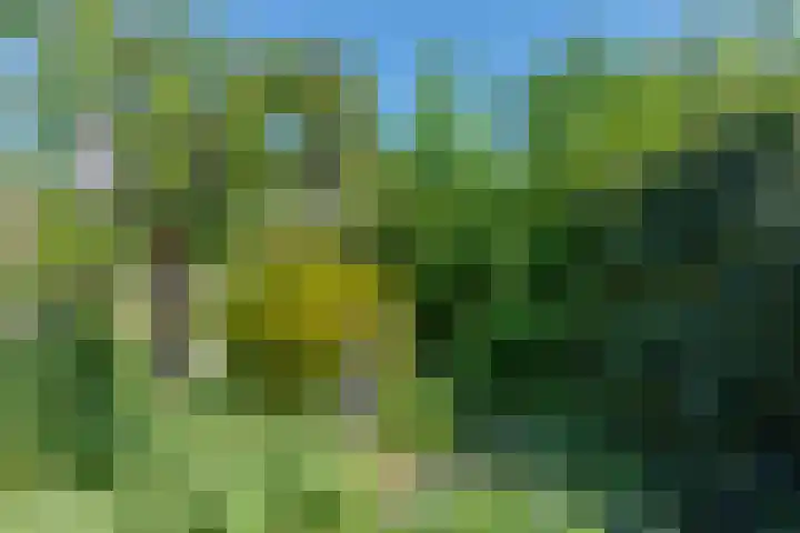 Prof. dr. F. Zernikeweg 56 De Bilt thumbnail 38