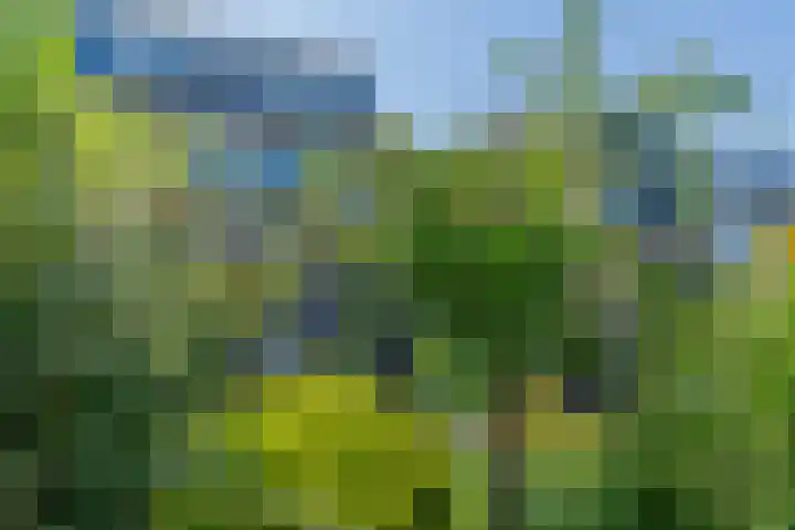Prof. dr. F. Zernikeweg 56 De Bilt thumbnail 39