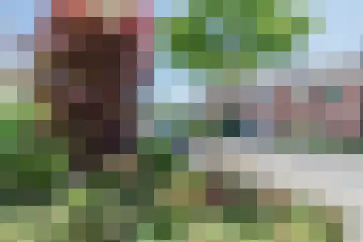 Prof. dr. F. Zernikeweg 56 De Bilt thumbnail 5