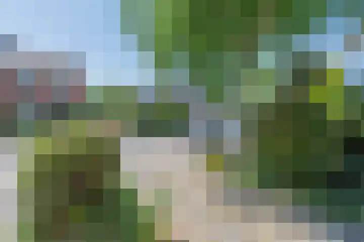 Prof. dr. F. Zernikeweg 56 De Bilt thumbnail 6