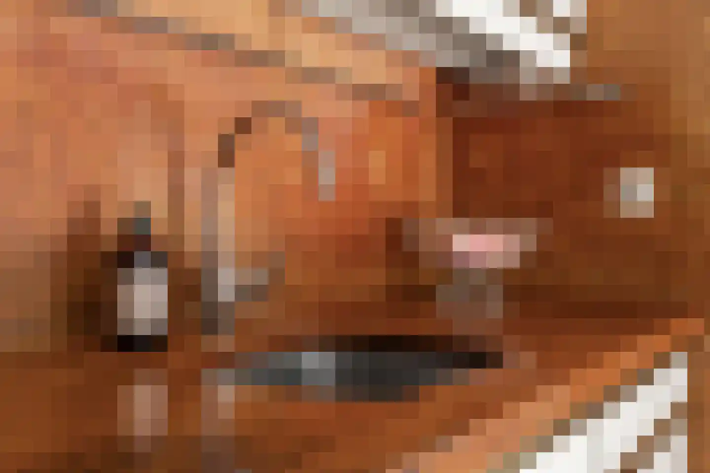 Prof. dr. H.A. Lorentzweg 4 De Bilt thumbnail 12