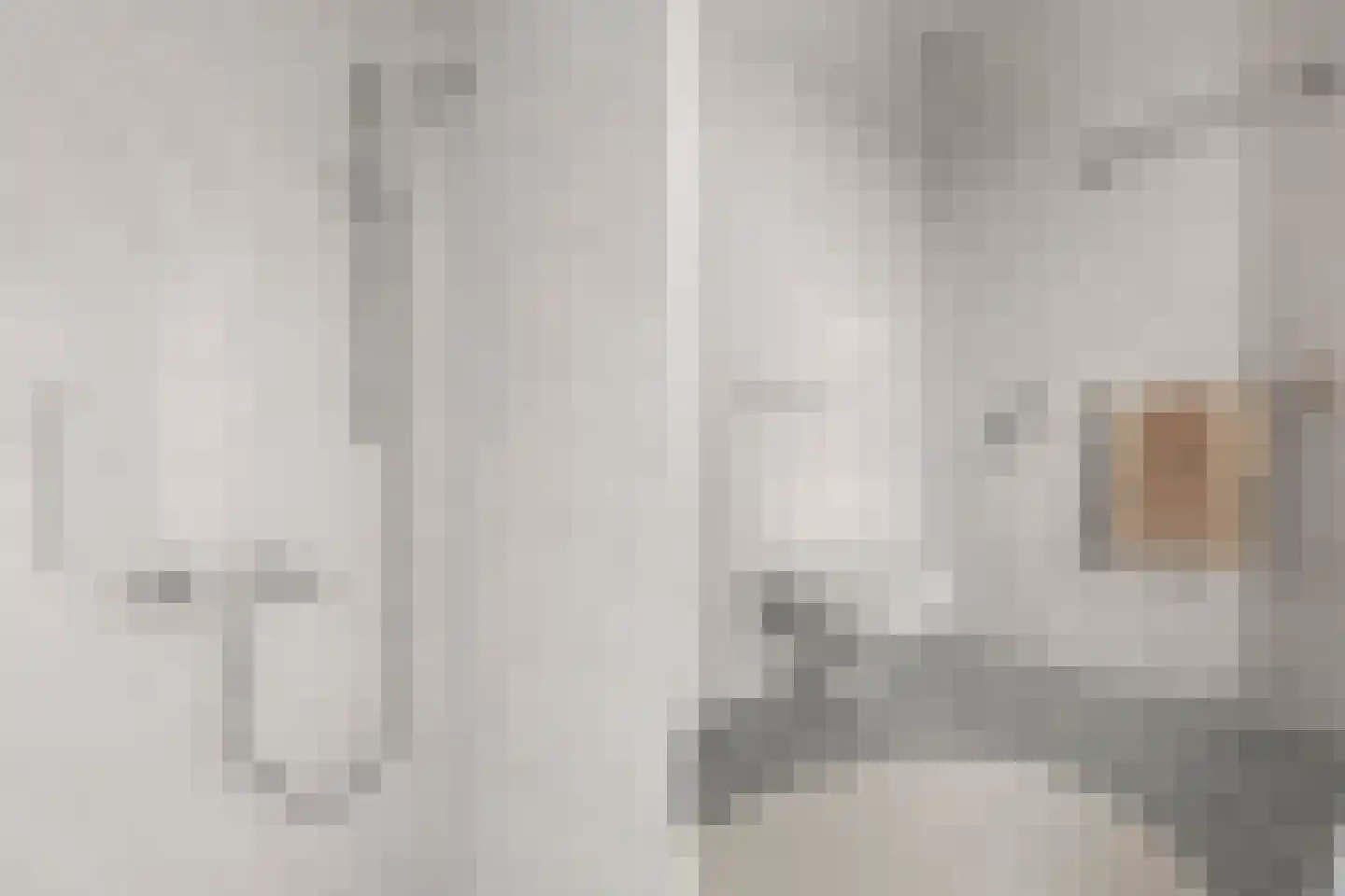 Prof. dr. H.A. Lorentzweg 4 De Bilt thumbnail 14