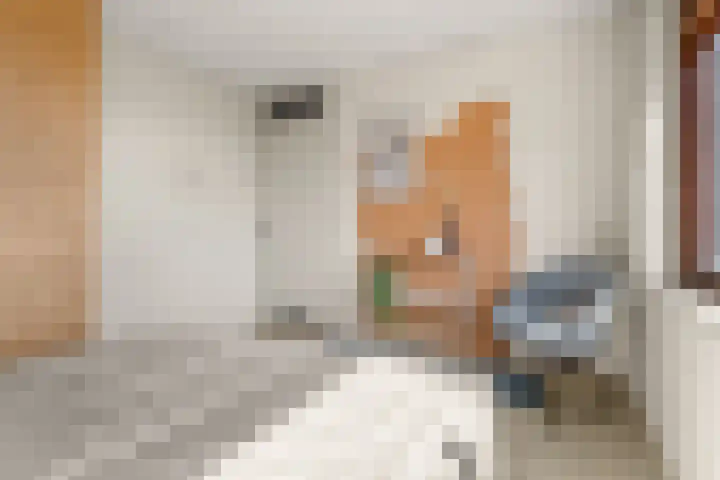 Prof. dr. H.A. Lorentzweg 4 De Bilt thumbnail 17