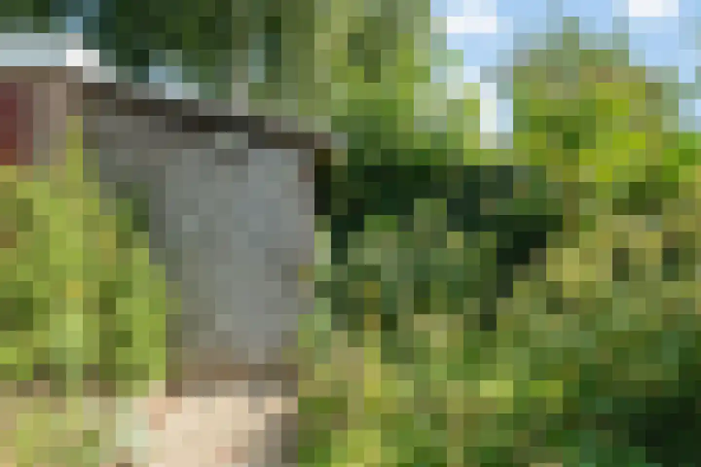Prof. dr. H.A. Lorentzweg 4 De Bilt thumbnail 25