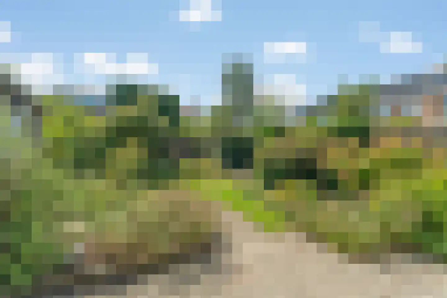 Prof. dr. H.A. Lorentzweg 4 De Bilt thumbnail 26