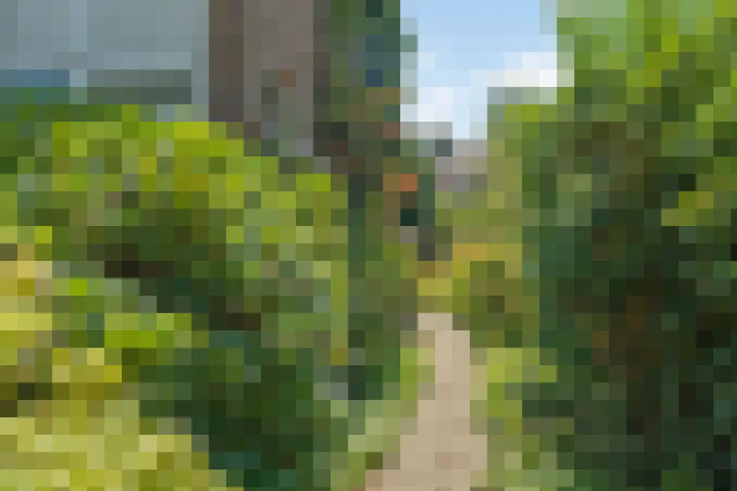 Prof. dr. H.A. Lorentzweg 4 De Bilt thumbnail 27
