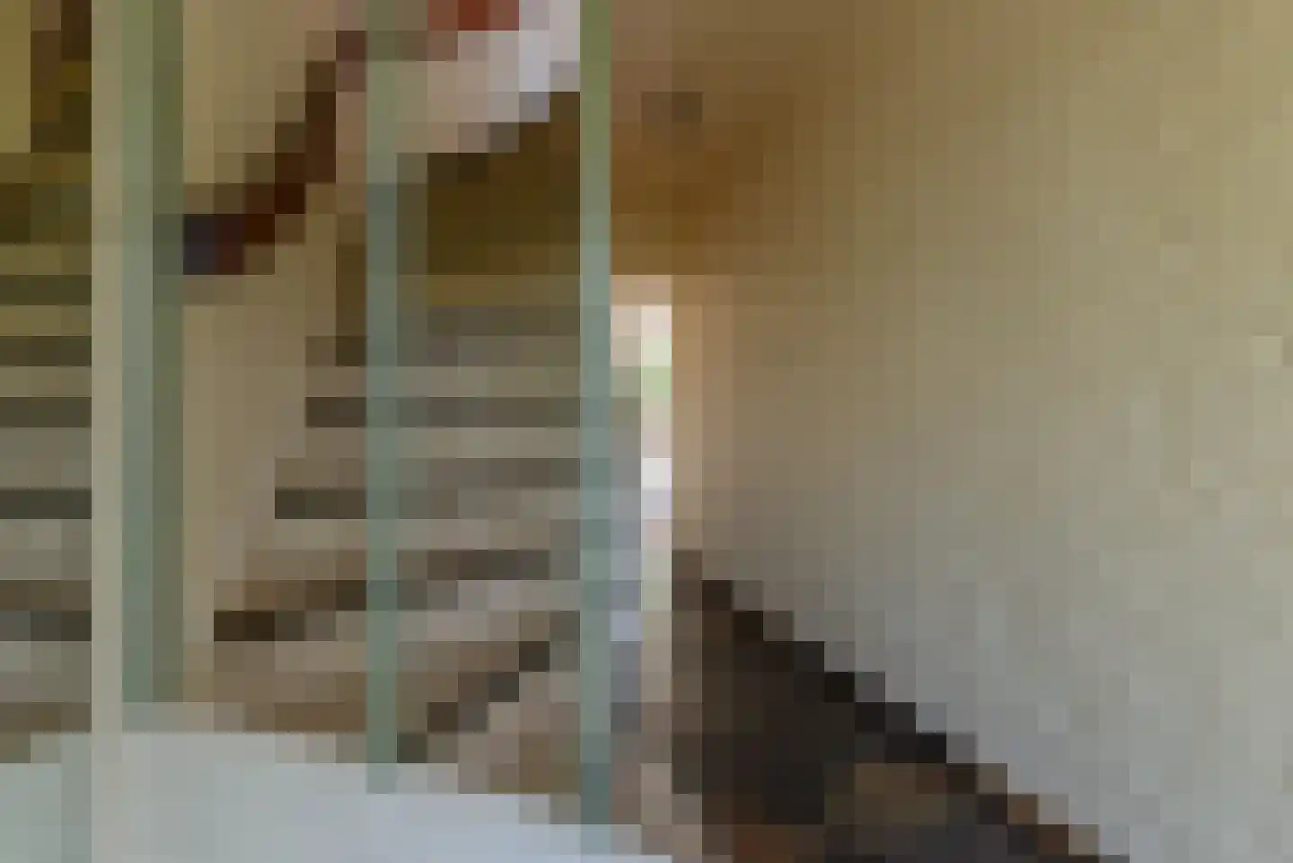 Prof. dr. H. Kamerlingh Onnesweg 2 De Bilt thumbnail 10