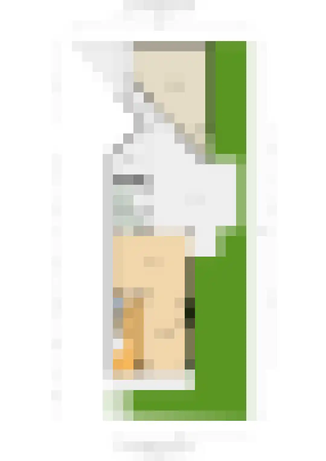 Prof. dr. H. Kamerlingh Onnesweg 2 De Bilt thumbnail 33