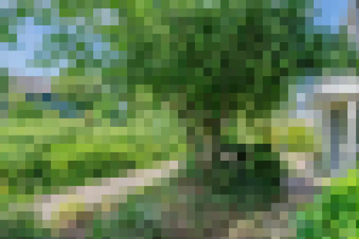 Prof. dr. H. Kamerlingh Onnesweg 2 De Bilt thumbnail 6