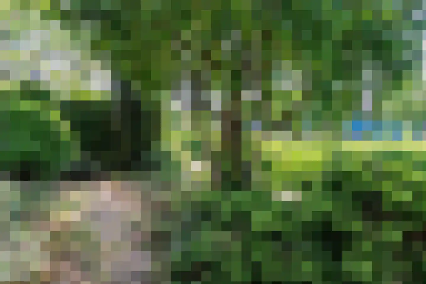 Prof. dr. H. Kamerlingh Onnesweg 2 De Bilt thumbnail 8