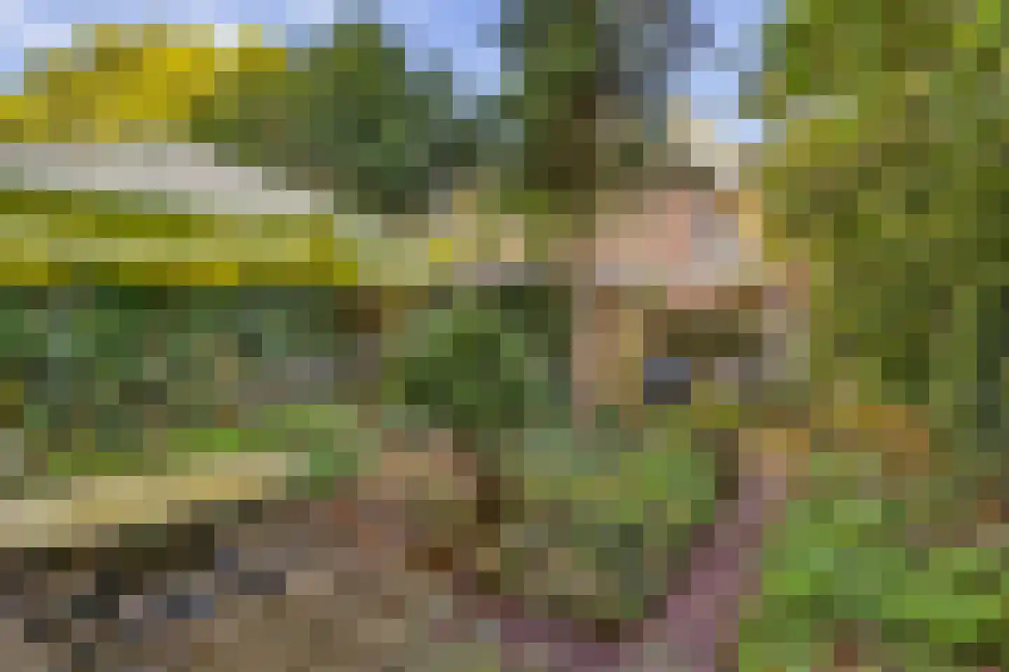 Prof. Dr. Hesselaan 13 Nieuwegein thumbnail 20