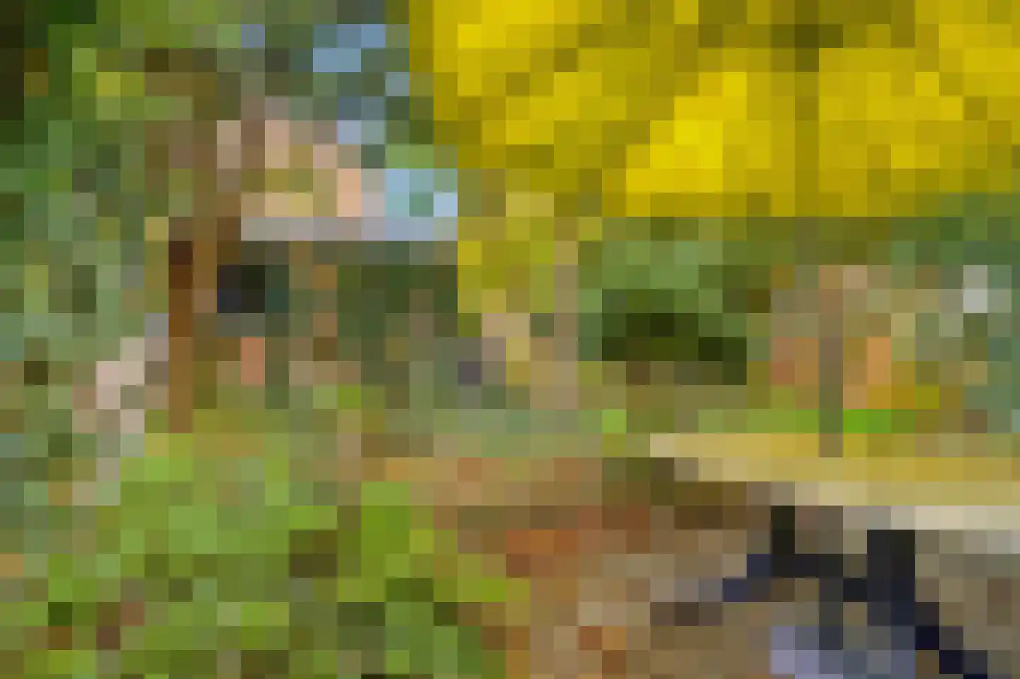 Prof. Dr. Hesselaan 13 Nieuwegein thumbnail 22