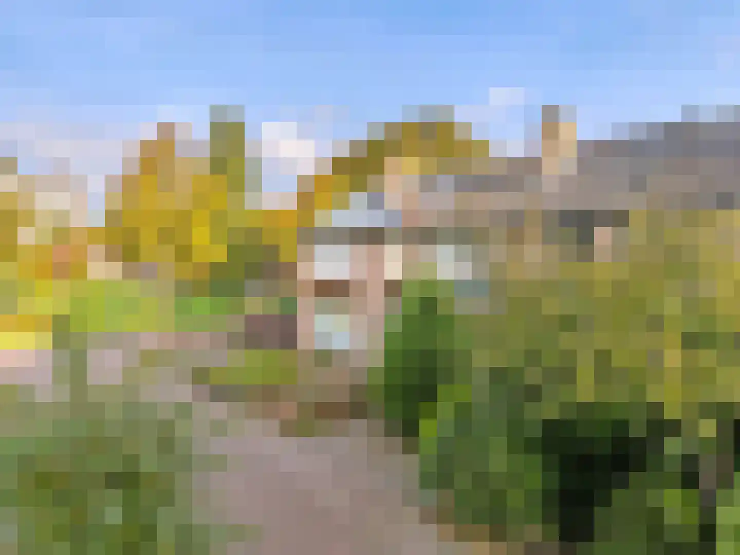 Prof. Dr. Hesselaan 13 Nieuwegein thumbnail 29
