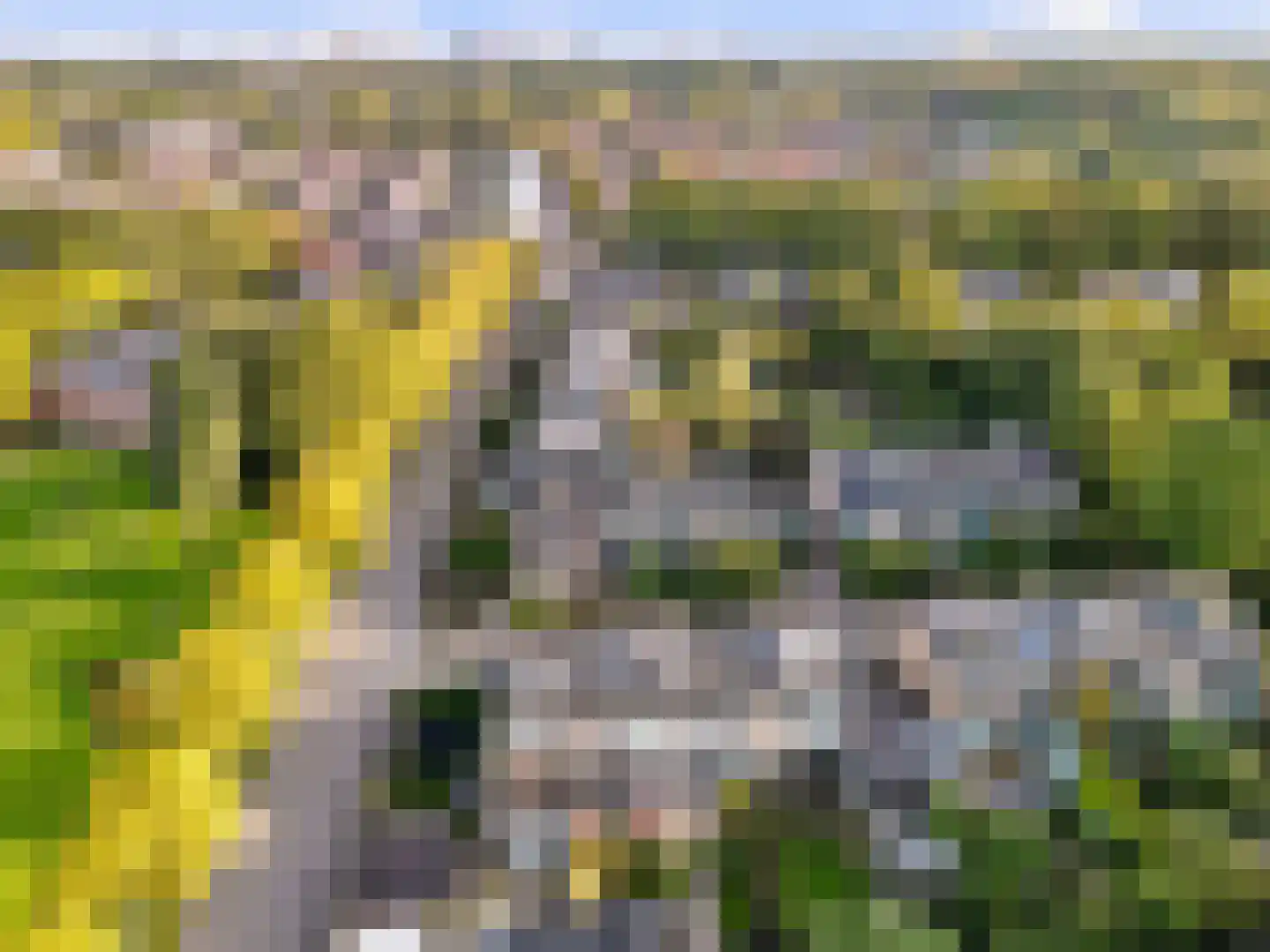 Prof. Dr. Hesselaan 13 Nieuwegein thumbnail 31