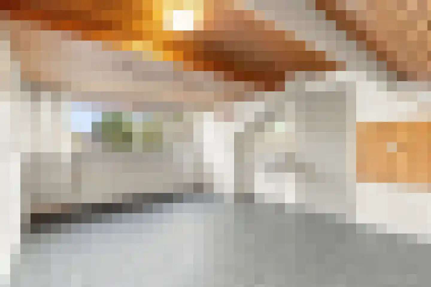 Prof. Dr. Hesselaan 13 Nieuwegein thumbnail 8