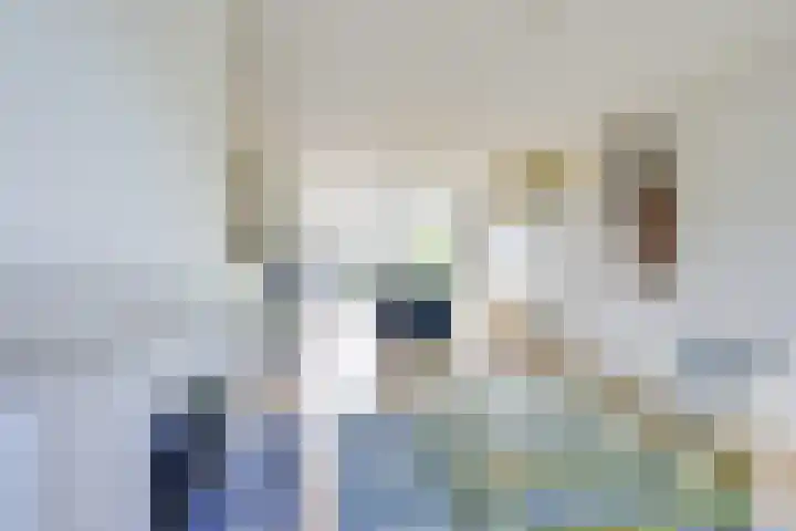 Prof. Dr. Hesselaan 31 Nieuwegein thumbnail 10