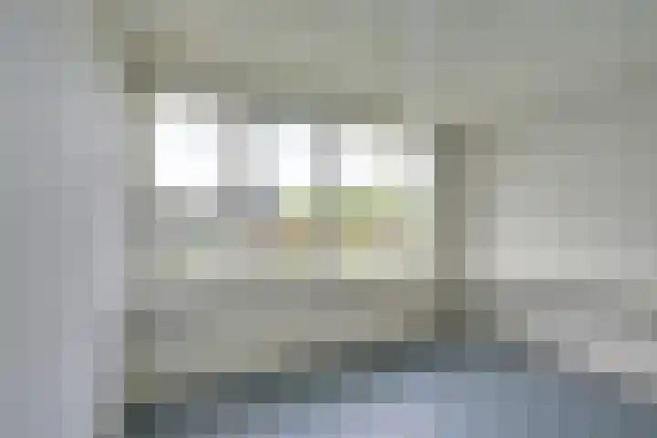 Prof. Dr. Hesselaan 31 Nieuwegein thumbnail 33