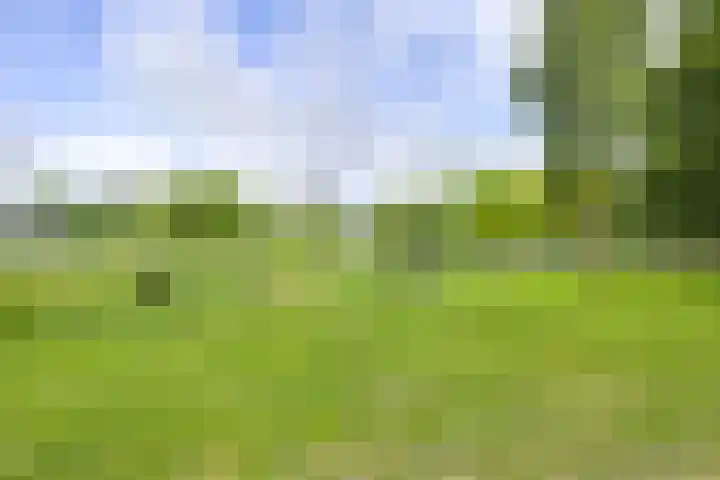 Prof. Dr. Hesselaan 31 Nieuwegein thumbnail 71