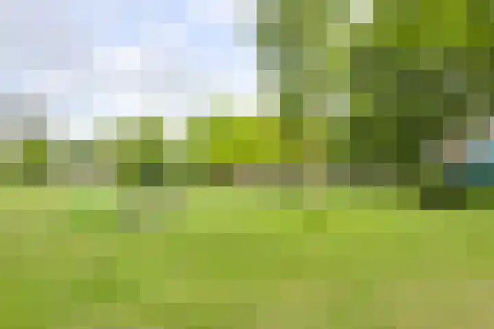 Prof. Dr. Hesselaan 31 Nieuwegein thumbnail 72