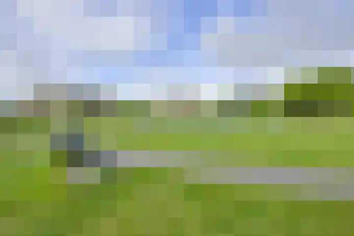 Prof. Dr. Hesselaan 31 Nieuwegein thumbnail 73