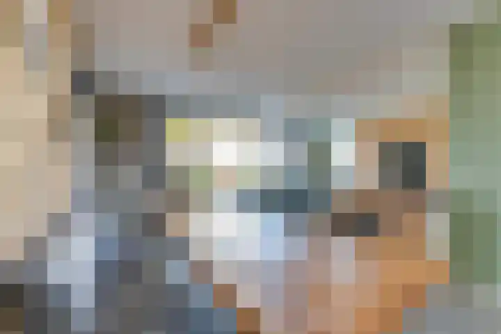 Prof dr J E Bogaerslaan 36 Kesteren thumbnail 14