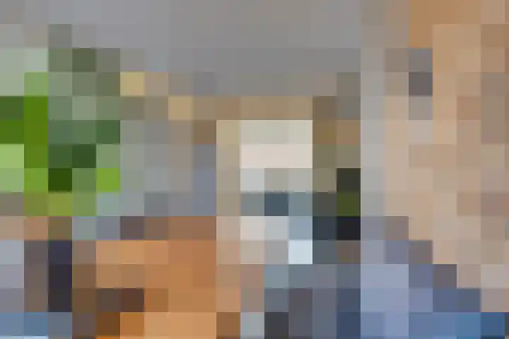 Prof dr J E Bogaerslaan 36 Kesteren thumbnail 16