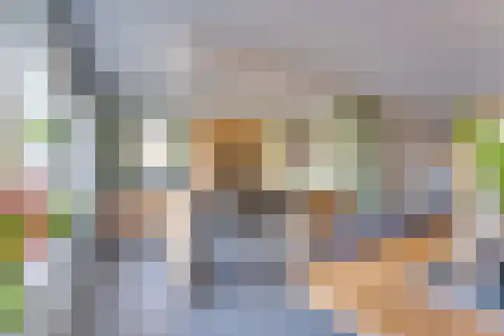 Prof dr J E Bogaerslaan 36 Kesteren thumbnail 18