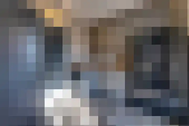 Prof dr J E Bogaerslaan 36 Kesteren thumbnail 28