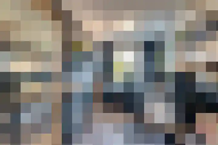 Prof dr J E Bogaerslaan 36 Kesteren thumbnail 34