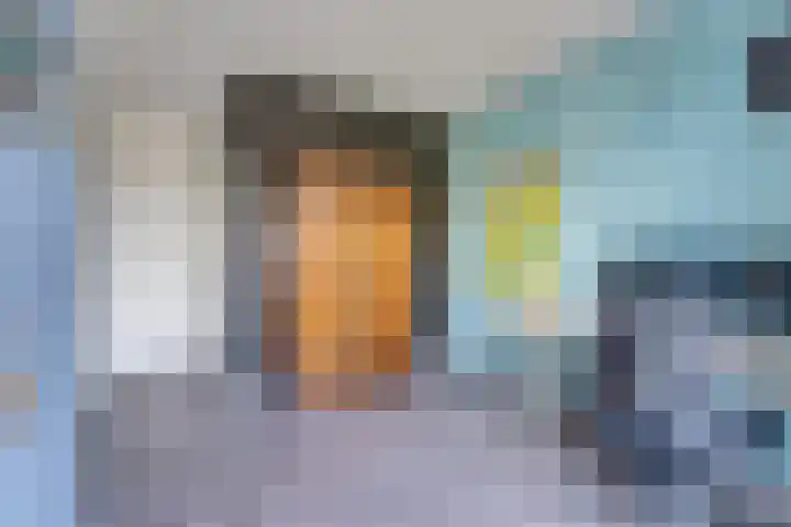 Prof dr J E Bogaerslaan 36 Kesteren thumbnail 39