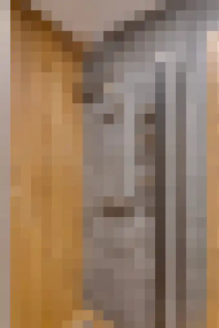 Prof dr J E Bogaerslaan 36 Kesteren thumbnail 42