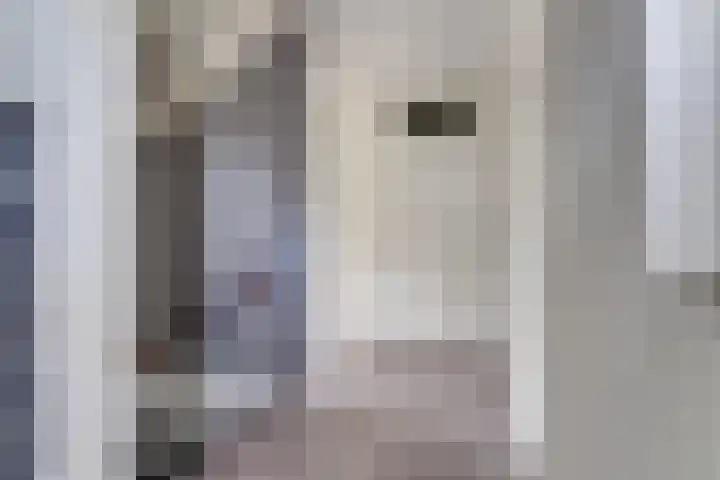 Prof dr J E Bogaerslaan 36 Kesteren thumbnail 43