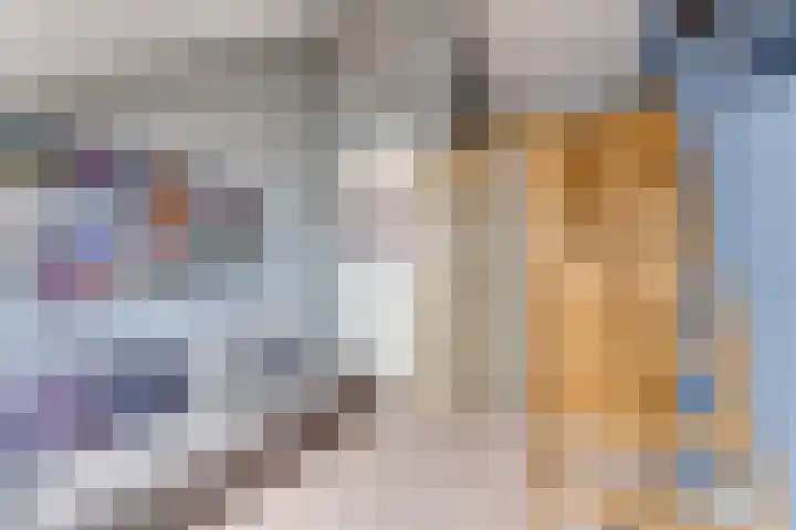 Prof dr J E Bogaerslaan 36 Kesteren thumbnail 48