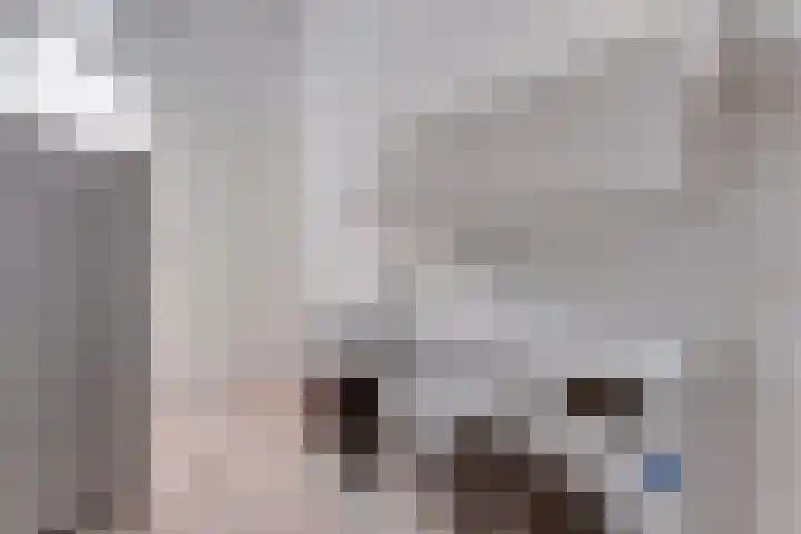 Prof dr J E Bogaerslaan 36 Kesteren thumbnail 50