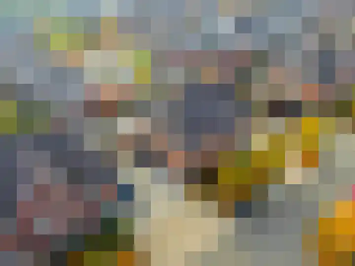 Prof dr J E Bogaerslaan 36 Kesteren thumbnail 53