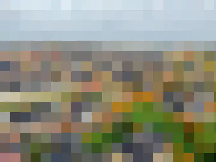 Prof dr J E Bogaerslaan 36 Kesteren thumbnail 58