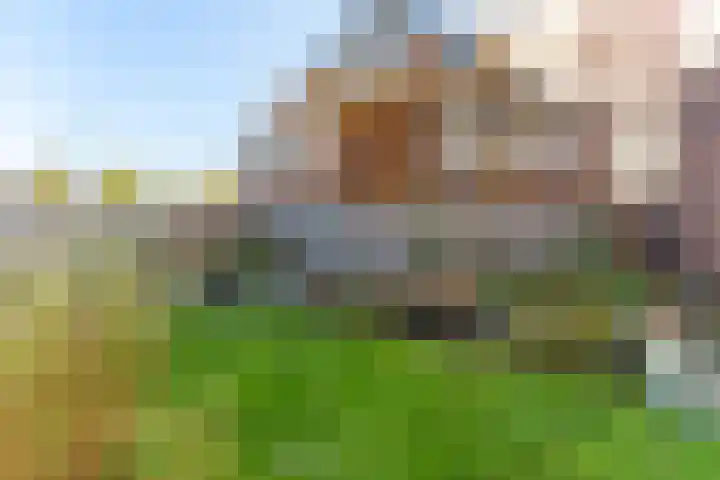 Prof dr J E Bogaerslaan 36 Kesteren thumbnail 72