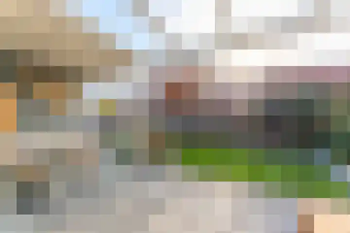Prof dr J E Bogaerslaan 36 Kesteren thumbnail 76
