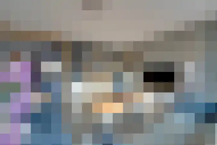 Prof dr J E Bogaerslaan 36 Kesteren thumbnail 8