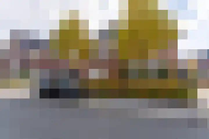Prof dr J E Bogaerslaan 36 Kesteren thumbnail 80