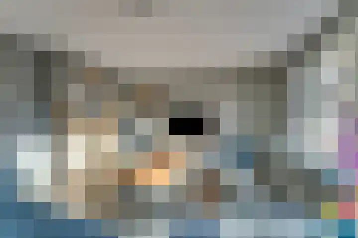 Prof dr J E Bogaerslaan 36 Kesteren thumbnail 9