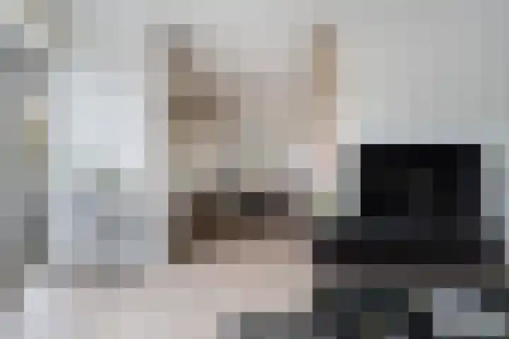 Prof. dr. J. Tinbergenweg 18 De Bilt thumbnail 10